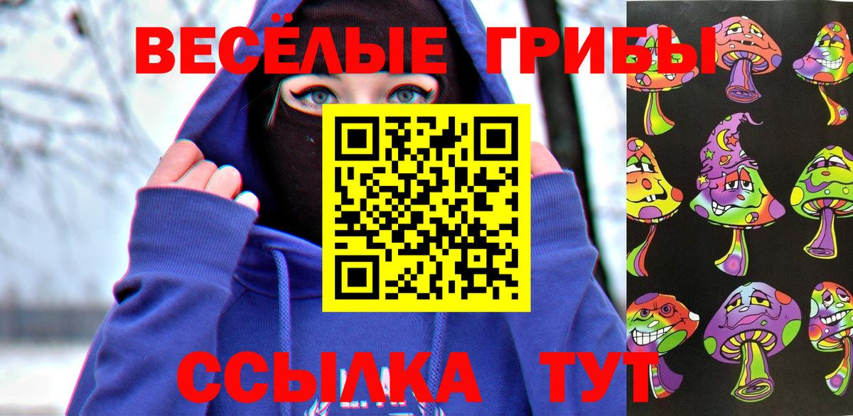 цены наркотик  Вход с VPN  Ленинск-Кузнецкий  Псилоцибиновые грибы Psilocybine cubensis 