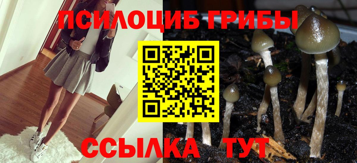 Галлюциногенные грибы GOLDEN TEACHER Ленинск-Кузнецкий